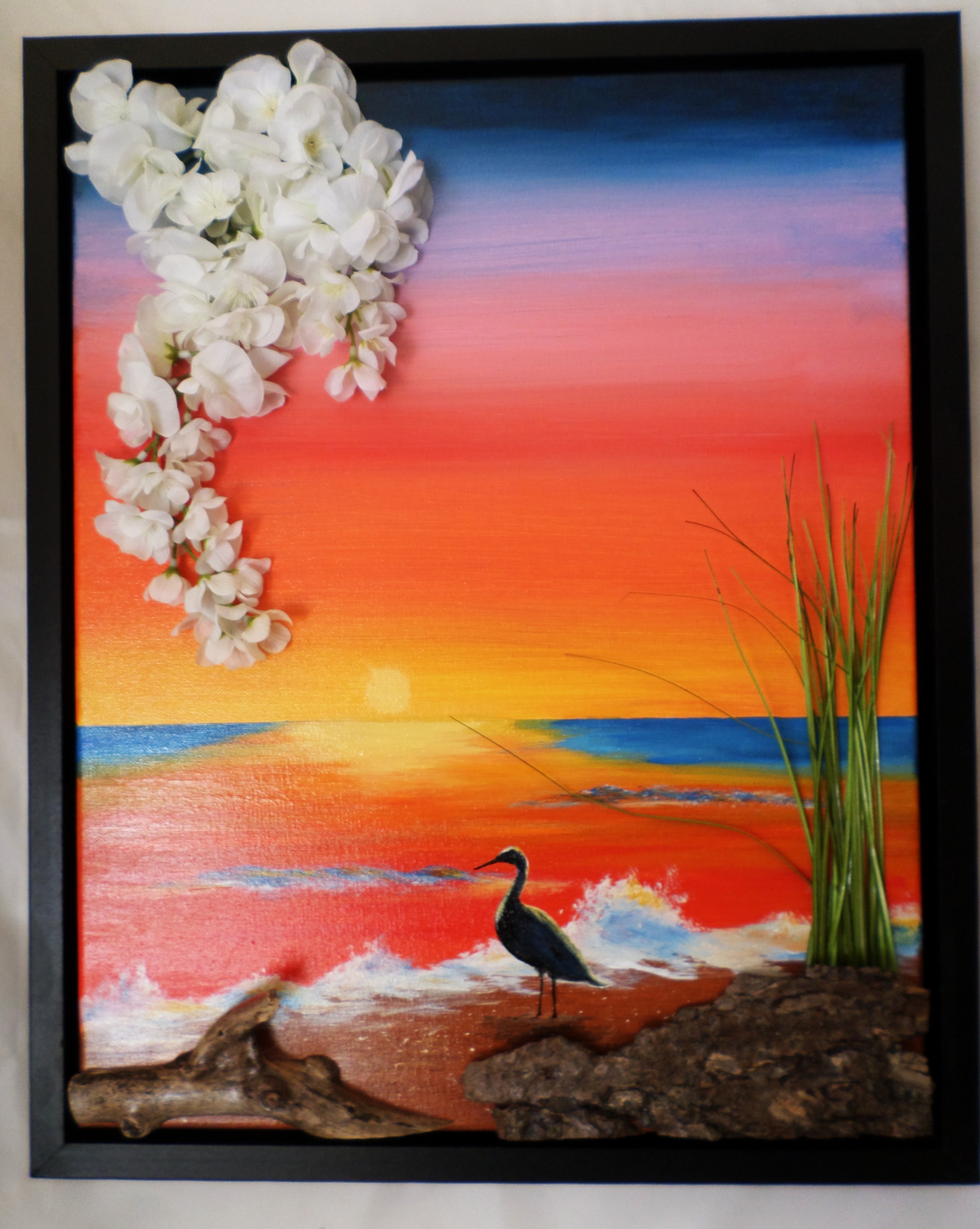 SAMSUNG CAMERA PICTURES