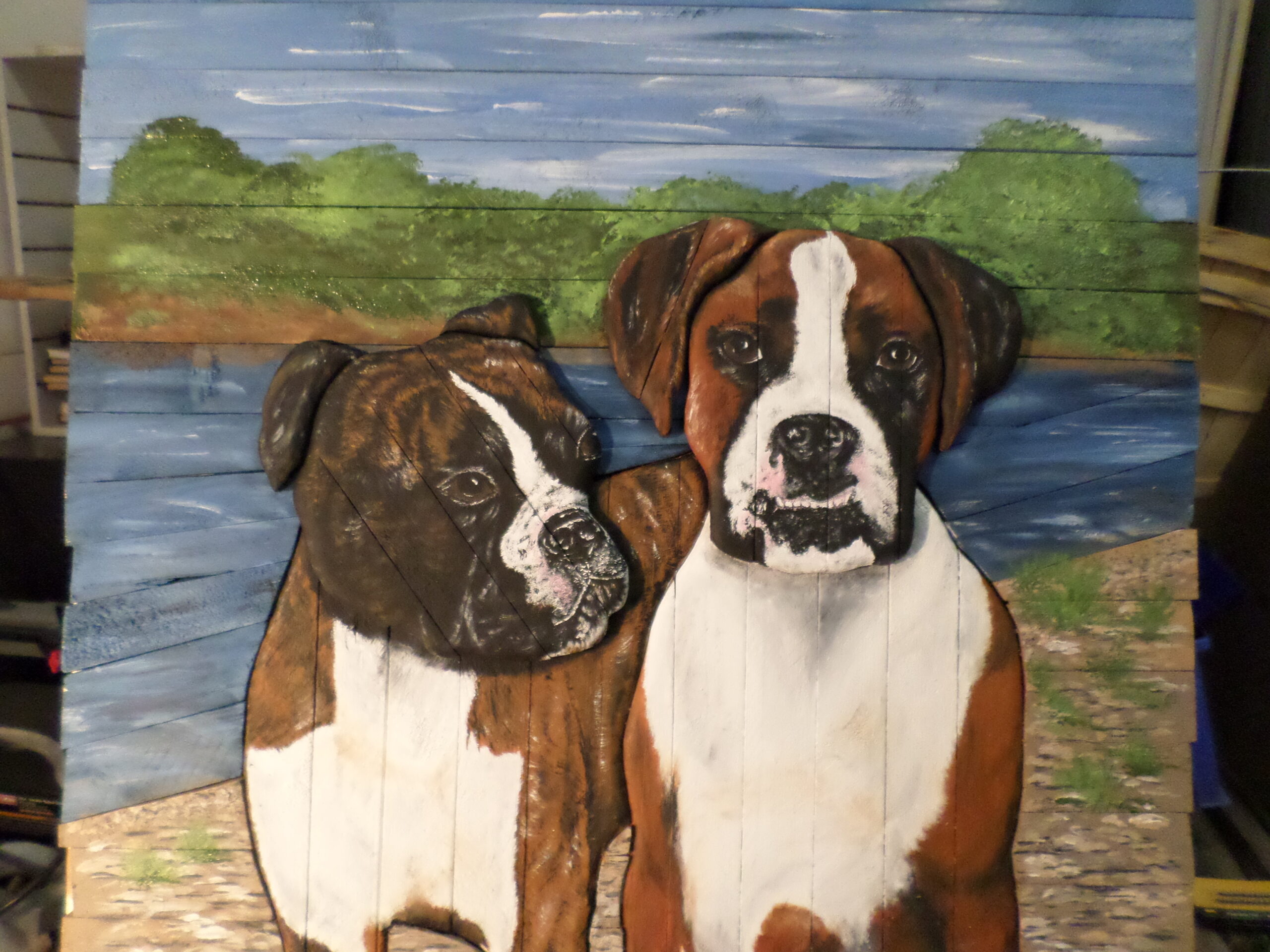 SAMSUNG CAMERA PICTURES